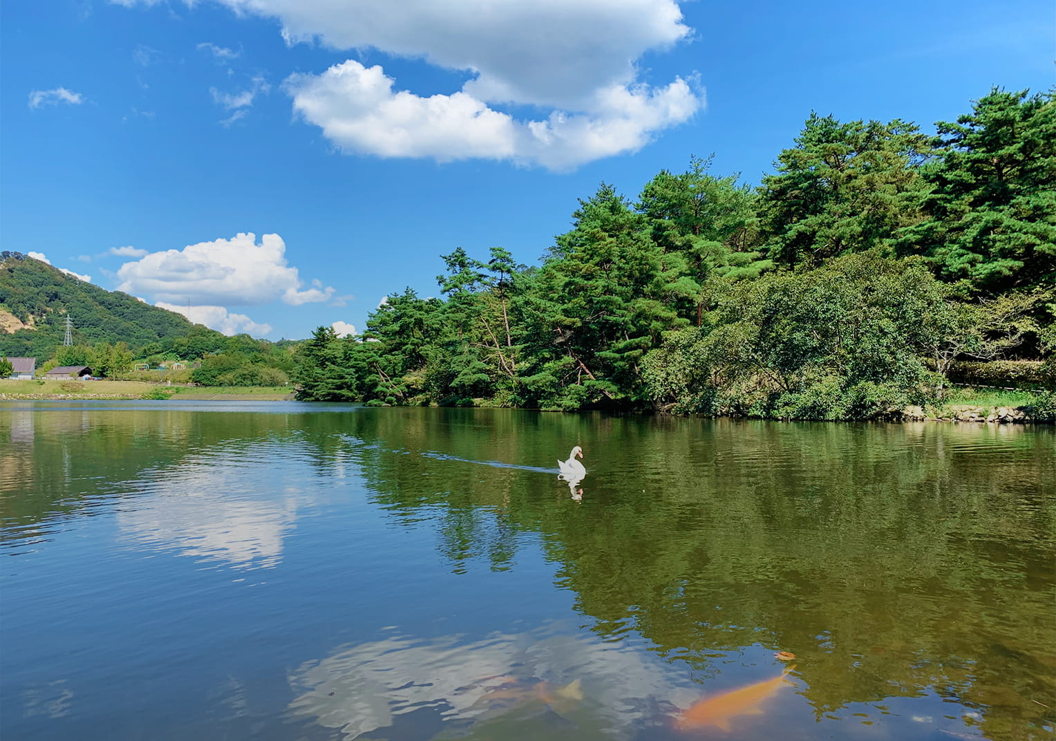 みやま公園