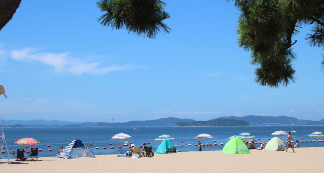 松林からみる渋川海岸