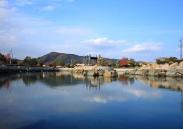 田井親水公園の様子