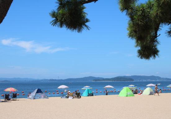 松林からみる渋川海岸