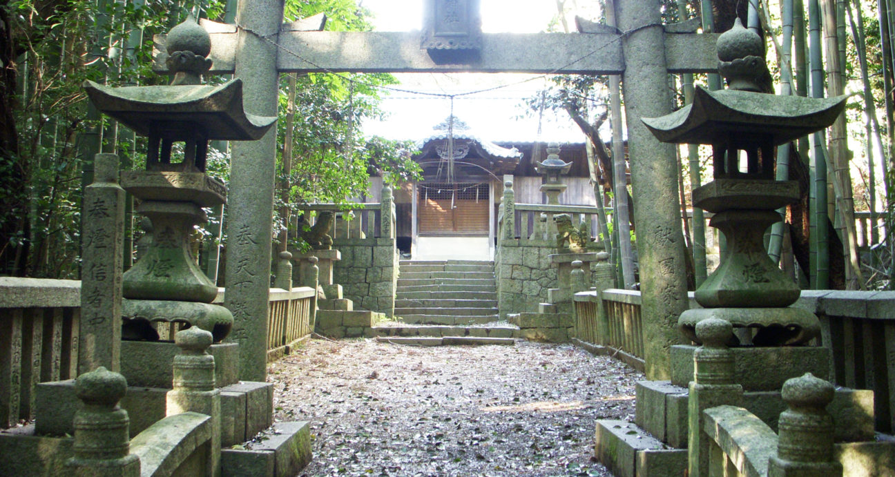 緑に囲まれた日吉神社