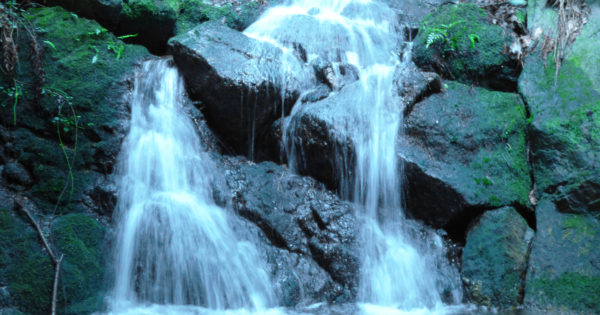 滝ぼん maboroshinotaki-2-600x315.jpg