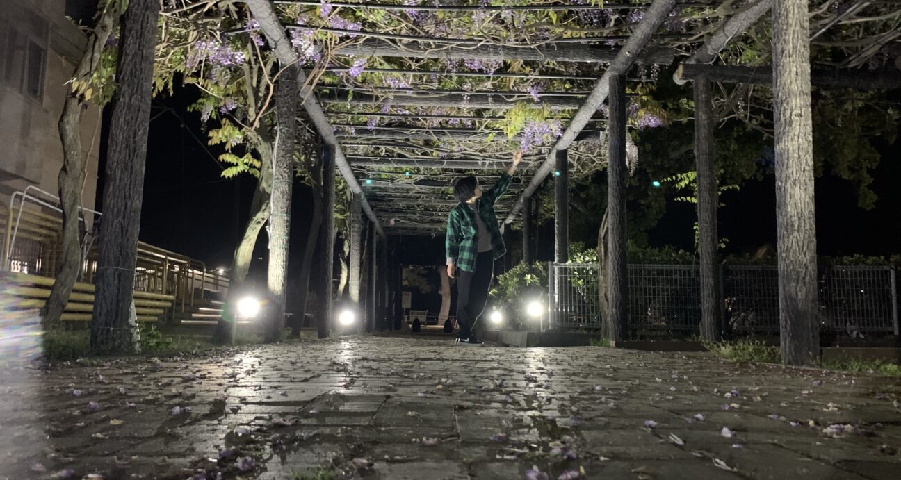 玉野市渋川公園内の藤棚ライトアップ