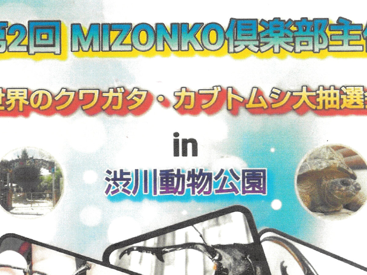 世界のクワガタ・カブトムシ大抽選会in渋川動物公園 | 瀬戸内 玉野 観光ガイド 「公式」 | 岡山県玉野市の旅行・観光情報をお届け！