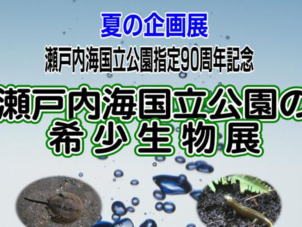 瀬戸内海遊覧地図　希少美品　定価拾五銭 瀬戸内海遊覧地図 希少美品 定価拾五銭 世界的に 瀬戸内海